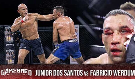 Junior Dos Santos vs Fabricio Werdum