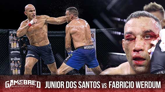 Gamebred BKMMA Junior Dos Santos vs Fabricio Werdum