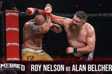 Roy Nelson vs Alan Belcher